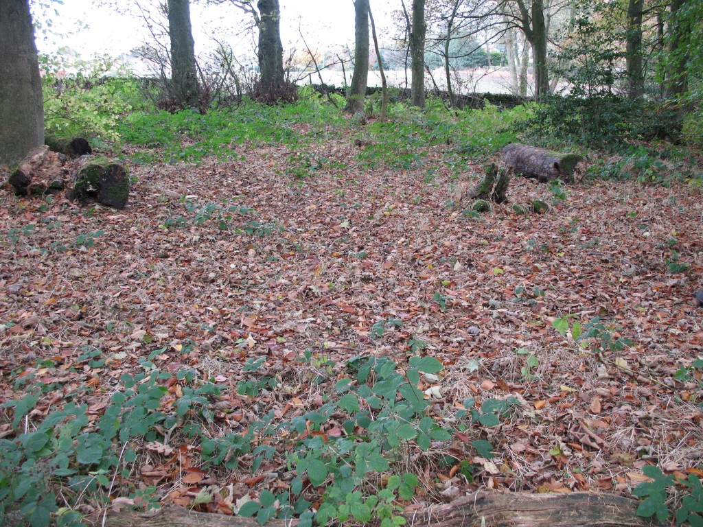Charcoal hearth - outlined by contrasting vegetation.