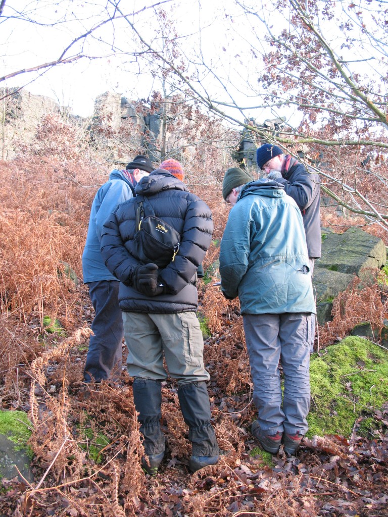 Discussing the Findings!