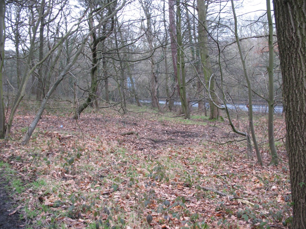 charcoal platform showing changes in vegetation