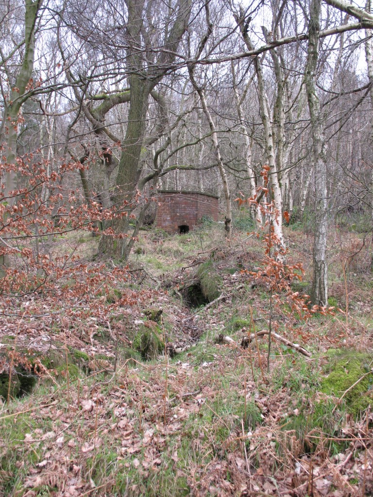 Water management structures