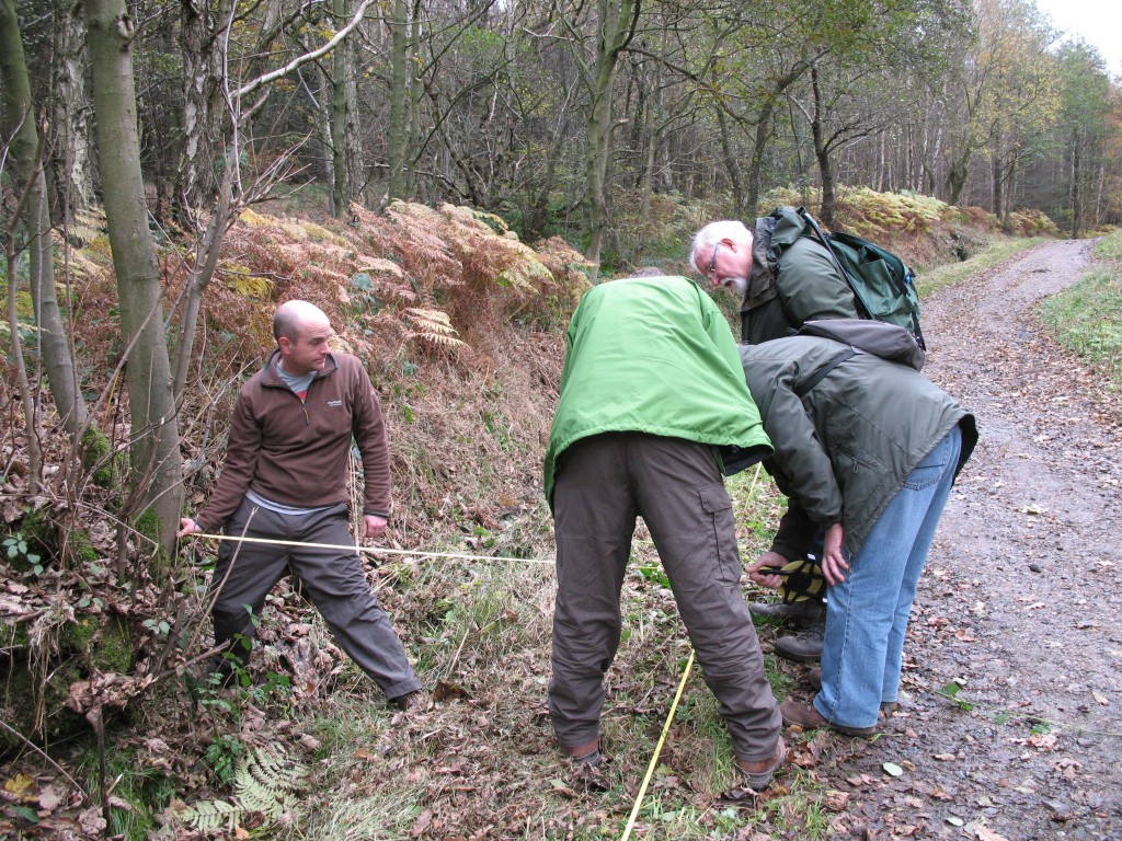Recording the profile of a bank and ditch